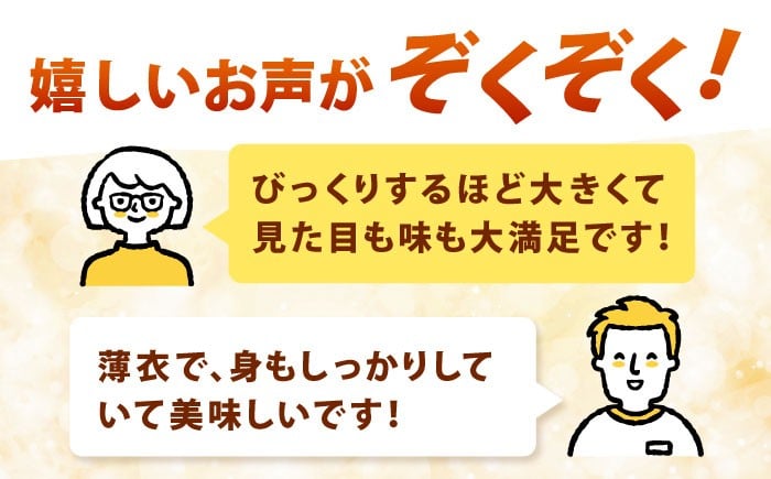 有頭 特大 エビフライ 5尾