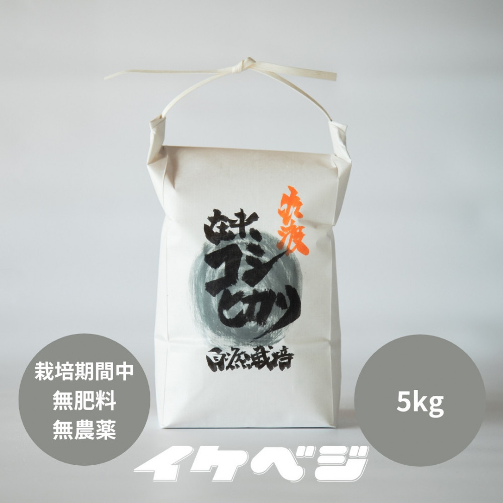 
            新潟県佐渡産 令和7年産 【在来コシヒカリ】 玄米 5kg
          