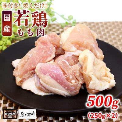ふるさと納税 設楽町 田口塩鶏 国産 味付け もも肉 500g (250g×2) 鶏肉 味付け肉 奥三河鶏 BBQ