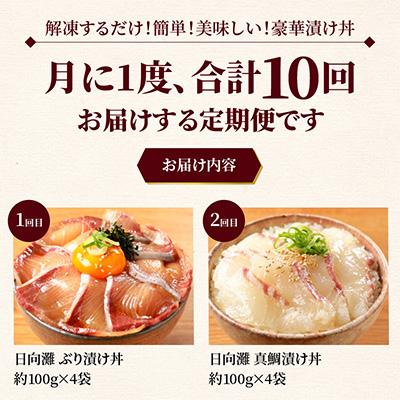 ふるさと納税 延岡市 【毎月定期便】【ふるさと納税】日向灘 日向灘 海鮮漬け丼 バラエティ全10回 |  | 01