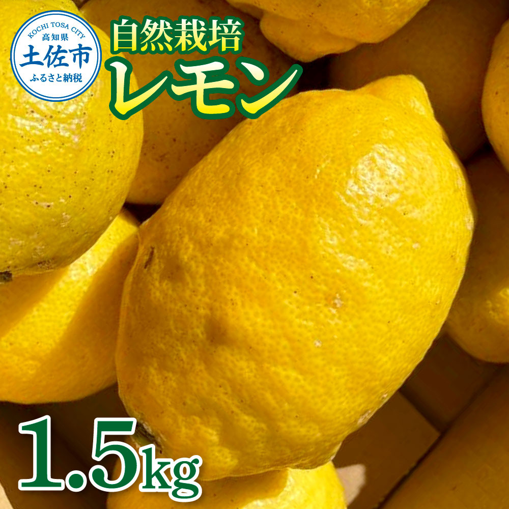 
            自然栽培レモン1.5kg 1.5キロ レモン 檸檬 れもん 自然栽培 無農薬 柑橘類 フルーツ 果物 くだもの レモネード 塩レモン はちみつレモン レモンスカッシュ レモンサワー ビタミンC
          