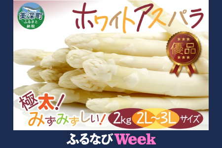 【ふるなびWEEK対象】2026年発送 ホワイトアスパラ 2kg(2L～3L ）【優品】 白旬 新鮮 野菜 朝採れ アスパラ アスパラガス ギフト 産地直送 お取り寄せ フレッシュ 甘い 春 春野菜 旬の味覚 季節 送料無料 北海道産 美深町 FN-Limited-WE