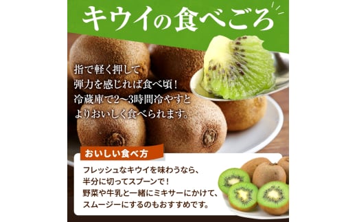 【先行予約】 先行予約！和歌山県産 秀品 キウイフルーツ 大玉15個入 こだわり農家厳選  【2026年12月中旬～2027年1月中旬頃に順次発送予定】/ キウイ キウイフルーツ 果物 フルーツ おや
