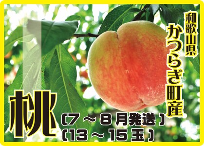＜甘い香りと果汁が自慢＞桃13～15玉【2025年7月～8月頃順次発送】【A186-frks083】