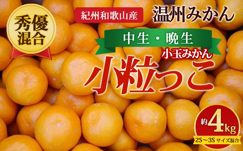 
                  【先行予約】【秀優混合】紀州和歌山産 温州みかん「小粒っこ」約4kg（箱込み）2S～3S サイズ混合 小玉みかん（中生・晩生）
                