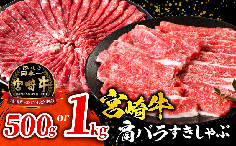 
            【容量が選べる】宮崎牛肩バラすきしゃぶ500g～1kg_M132-068-SKU
          