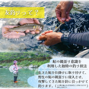 鮎屋仁淀川の仁淀ブルー友釣あゆで作る「パエリアセット×2セット」　天然鮎 ミールキット