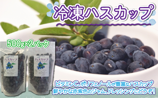 冷凍ハスカップ500g×2パック OSO001