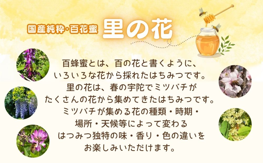 国産 純粋 はちみつ 里の花 125g (1本)／ 蜂蜜 ハチミツ 非加熱 無添加 無加工 百花蜜 単花蜜 キハダ お取り寄せ 伊藤ゆう養蜂園 奈良県 宇陀市 ふるさと納税