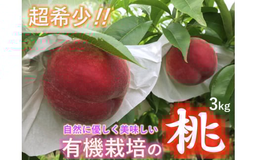 <2025年発送先行予約>【有機栽培の美味しい桃約3kg 8月発送】自然に優しく希少でジューシーな天然桃(9～11個入)！ ALPEF016