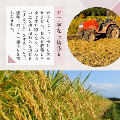 ふるさと納税 妙高市 【2026年6月下旬発送】令和7年産 新潟県妙高産コシヒカリ2kg |  | 02