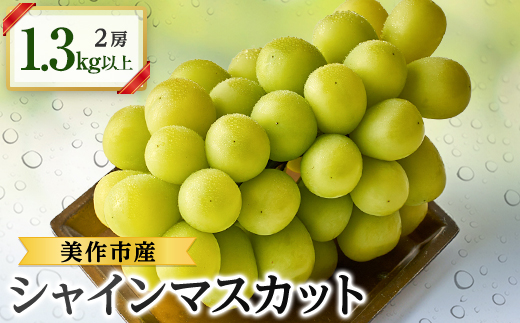 
            ＜2025年先行受付＞美作市産シャインマスカット2房　1.3kg以上【1147829】
          
