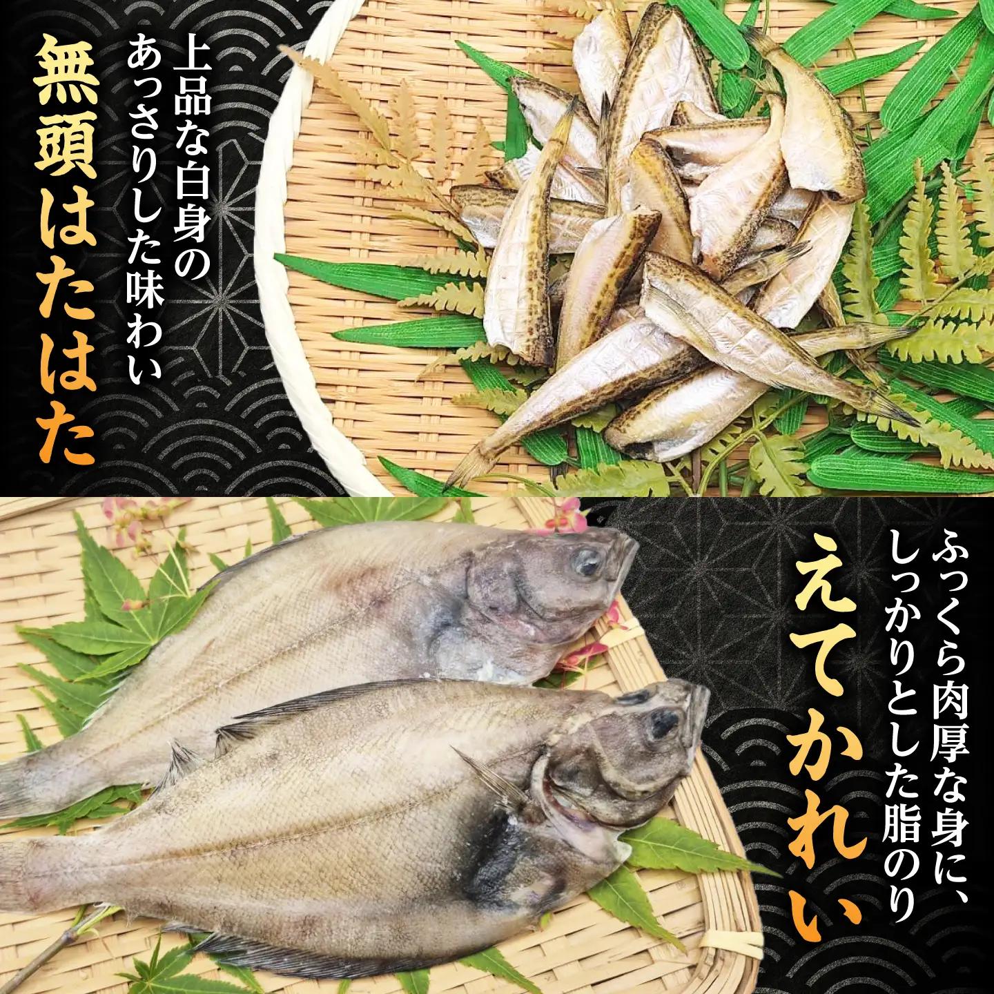 日本海（山陰の干物）セット 島根県松江市/有限会社ヤマヲ水産｜干物 セット 干物セット ひもの ひものセット 魚介類 詰め合わせ アジ イカ　ハタハタ[ALDB024]