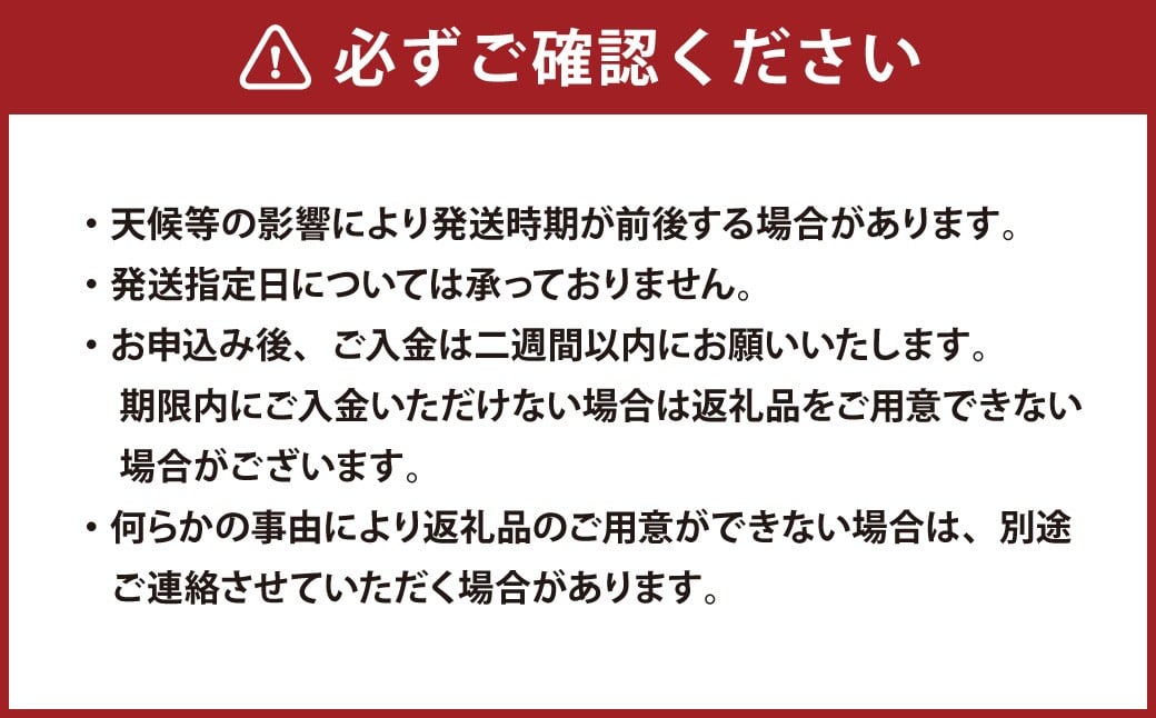 岡山匠の白桃 約1.3kg 4～6玉 家庭用