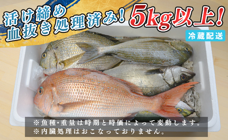 鮮魚 5kg～ 鮮魚ボックス 詰め合わせ 刺身 刺し身 さしみ 鮮度抜群 産地直送 高知県産
