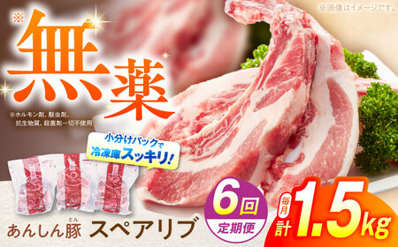 【6回定期便】豚肉 スペアリブ 1.5kg 白川町 / 藤井ファーム[AWAF017]