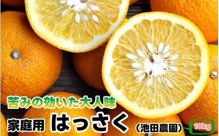 はっさく 10kg+250g（痛み補償分） 家庭用 光センサー / 八朔 訳あり 甘い 和歌山 有田 柑橘 ※1月上旬〜4月上旬頃に順次発送予定 ※北海道・沖縄・離島への配送不可 【ikd021-c-10B】