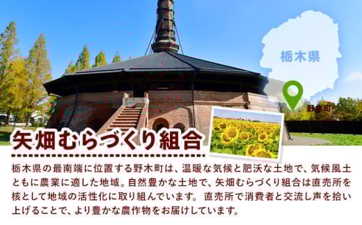 栃木県産の巨大梨!!　にっこり梨をたっぷり約5kgお届け!!