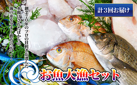 ［頒布会3回］瀬戸内海産の海産物の詰め合わせ（下処理アリ） タイ サザエ カレイ サヨリ チヌ 