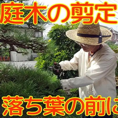 【Amazon特別価格】秋田県 能代市 空き家管理 庭木の剪定 故郷の庭木の枝や葉をキレイに剪定します 対象地域：能代市