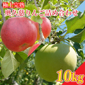 【2025年先行予約】樹上完熟の奥久慈りんご詰め合わせ　園主おまかせ約10kg（24～46玉）【2025年10月上旬頃発送予定】斉藤りんご園第2直売所｜茨城県 大子町 林檎 果物 フルーツ 旬（CG003）