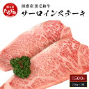 【ふるさと納税】【発送時期が選べる】球磨産 黒毛和牛 サーロインステーキ500g ＜ 250g×2枚 ＞ サーロイン ステーキ 牛肉 選べる配送月 和牛 球磨 球磨郡 牛肉 肉 牛 国産 冷凍 熊本県 多良木町 送料無料