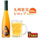 【ふるさと納税】九州を飲む！九州果実シロップ 温州みかん 500ml 1本 果実 シロップ ミカン オレンジ みかん 果汁 はちみつ ハチミツ 年内発送 送料無料