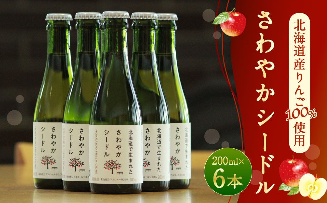 
【果実炭酸酒】北海道産りんご100％使用 さわやかシードル 200ml×6本
