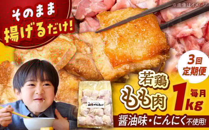 
            【全3回定期便】山賊からあげ（ 骨なし ）1kg ▼ 大容量 からあげ 1kg 冷凍 唐揚げ から揚げ お弁当 おかず 簡単 おすすめ 人気 鶏肉 若鶏 若どり モモ肉 もも肉 定期便 桂川町/山賊からあげ桂川店[ADAP003]
          