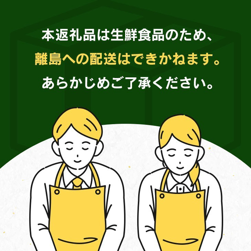 先行予約 宮浦産 日向夏 計5kg以上 化粧箱入り 期間限定 数量限定 フルーツ 果物 くだもの 柑橘 みかん 令和8年発送 国産 産地直送 新鮮 食品 ジュース デザート_BB165-25 _イメー