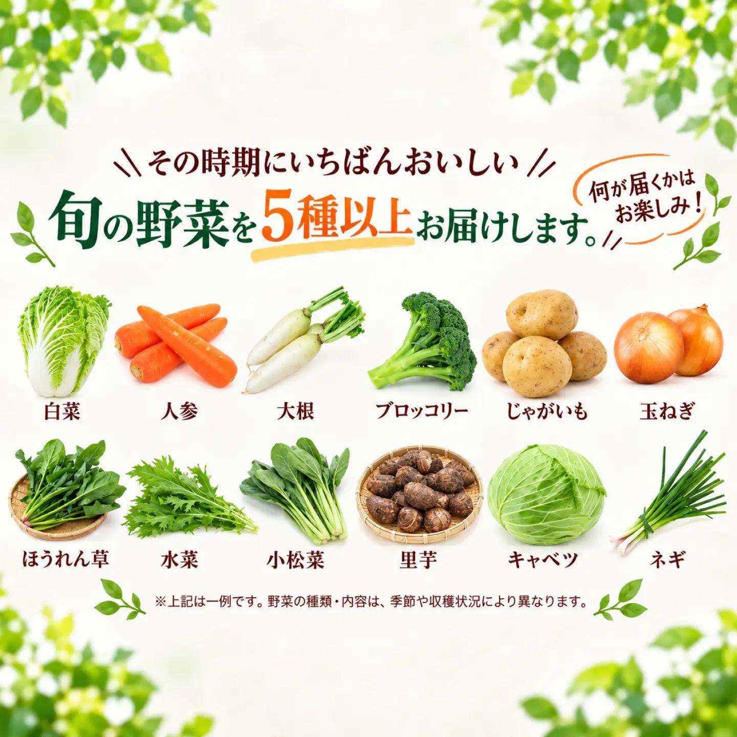 季節の野菜セット ／ 旬 野菜