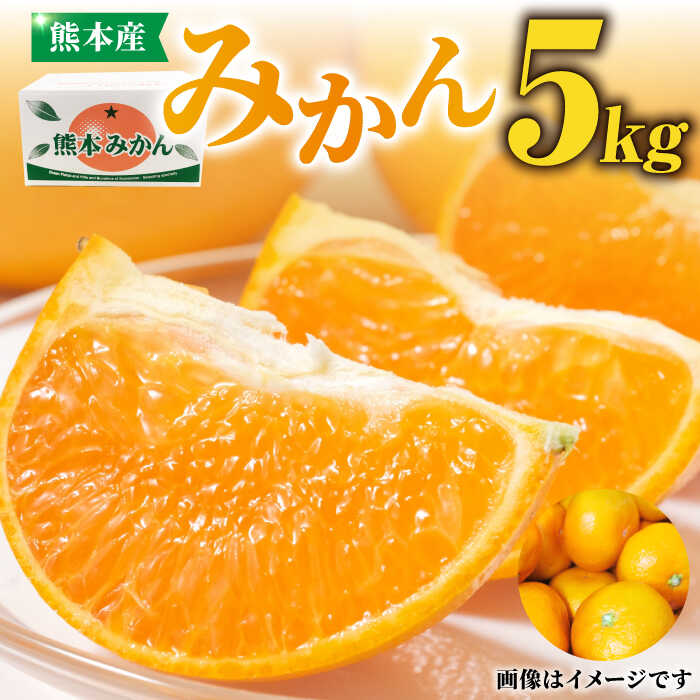 【ふるさと納税】熊本 みかん 約 5kg 化粧箱入り 【かきやま果実】[ZCJ004] 熊本みかん 厳選 お届け 贈答品 産地直送 国産 熊本 山鹿市