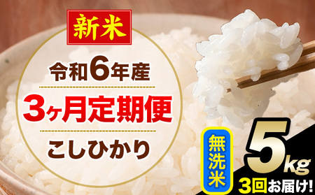 【3ヶ月定期便】令和6年産 新米 定期便 こしひかり 無洗米 定期便 5kg 精米 熊本県産(南阿蘇村産含む)  南阿蘇村《お申込み月の翌月から発送》｜人気米 熊本県産米  生活応援米