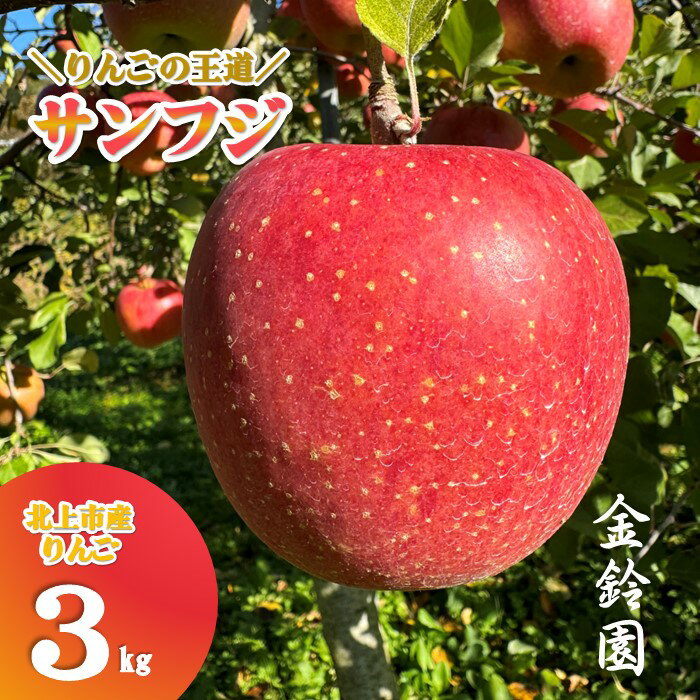 【ふるさと納税】】＼予約受付 11月下旬より発送開始予定／【 北上市産 りんご 】サンフジ 【厳選玉】 3キロ (約8〜12玉) 贈答用 林檎 リンゴ サンふじ 3kg 国産 産地直送 送料無料 フルーツ 果物 果実 東北 岩手 金鈴園 岩手県 北上市 C0172 プレゼント 贈り物