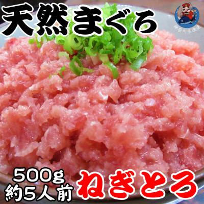 ふるさと納税 三浦市 神奈川県漁連　天然マグロ　ネギトロ(500g)