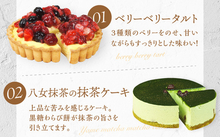 【全3回定期便】6種のケーキ・タルト スイーツ定期便　広川町 / イートウェル株式会社[AFAK033]