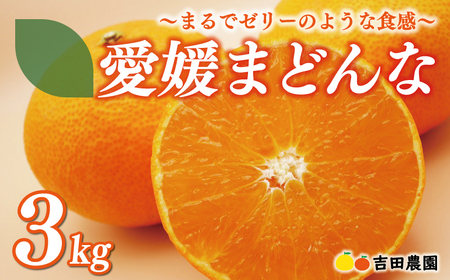 【2025年12月中旬頃発送】【先行予約】愛媛 まどんな 3kg 紅まどんな紅まどんな紅まどんな紅まどんな紅まどんな紅まどんな