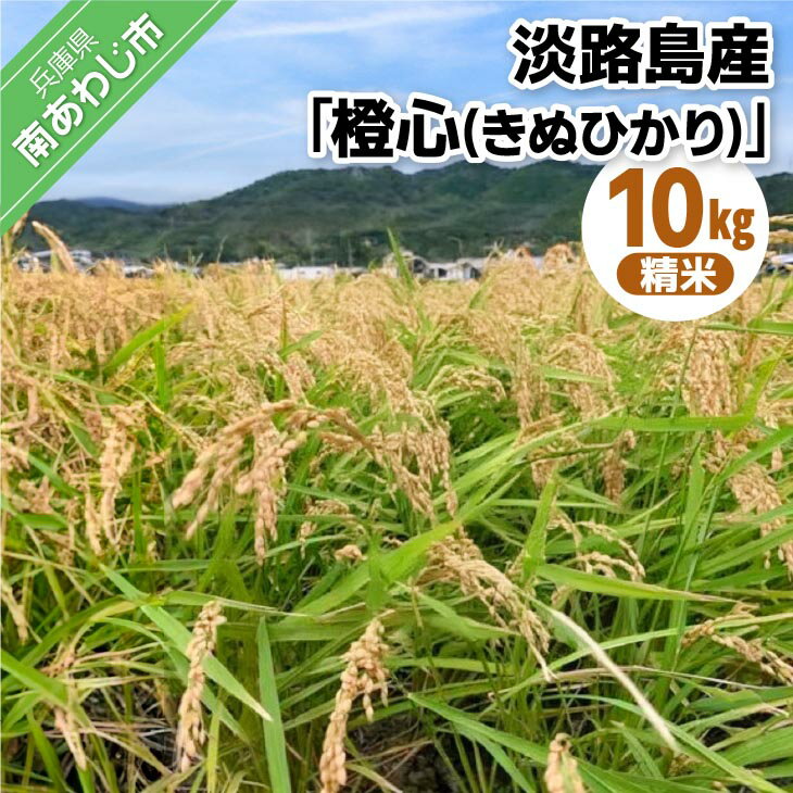 【ふるさと納税】令和7年度産 新米 淡路島産「橙心(きぬひかり)」　精米10kg　◆配送9月末～