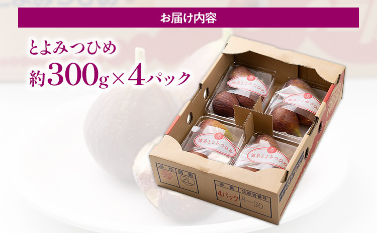 《先行予約》期間限定 いちじく 「とよみつひめ」 1.2kg 福岡県産ブランド フルーツ 無花果 (約300g×4パック) 1200g 南国フルーツ CO013