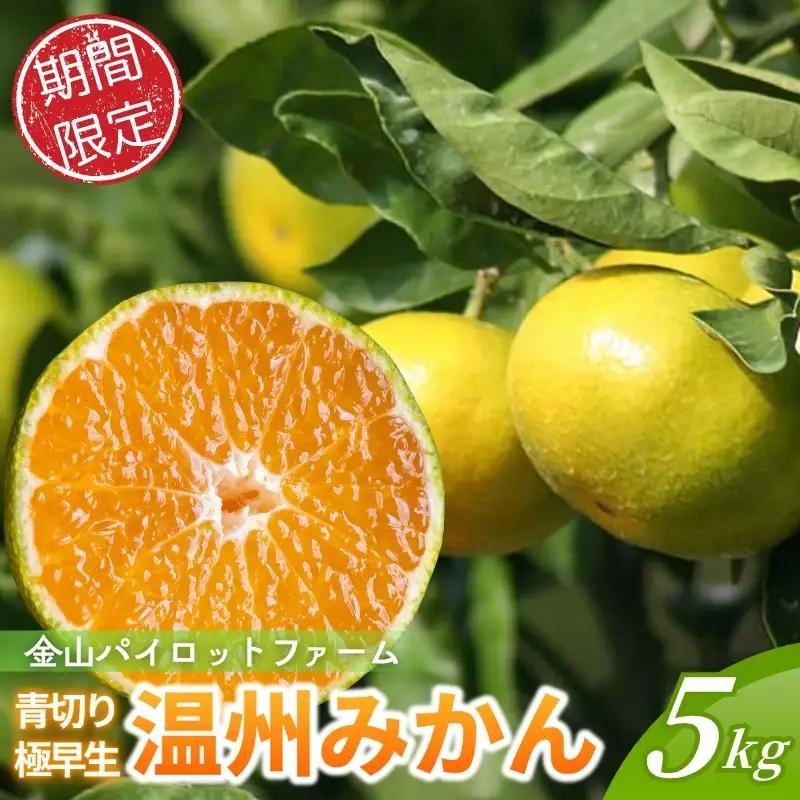 みかん 極早生温州みかん 5㎏【knpr0012A】