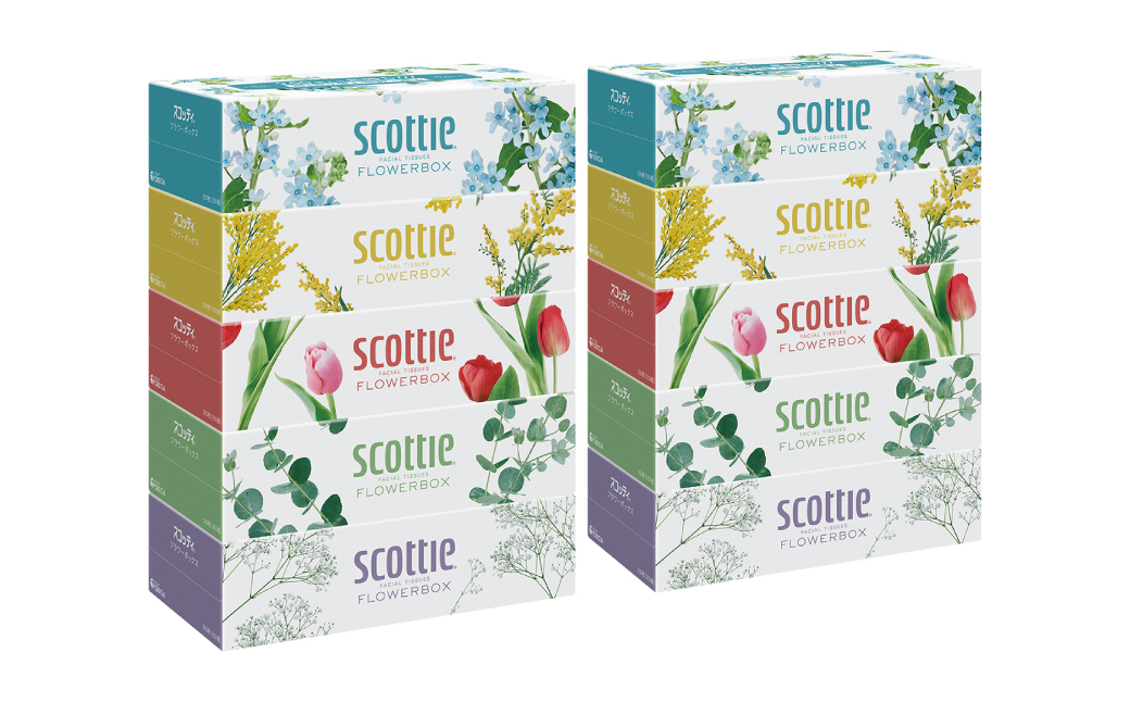 【定期便6回】【毎月お届け】【スコッティ】ティシュー フラワーボックス 250組 5箱パック×2セット 合計10箱 ティッシュ 日用品 生活必需品 消耗品 紙 まとめ買い 備蓄 防災備蓄 ストック デザインボックス