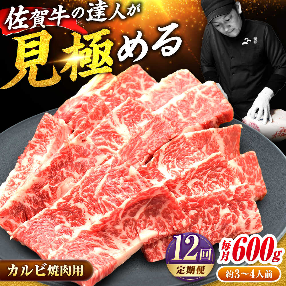 【ふるさと納税】【全12回定期便】 佐賀牛 カルビ 600g 焼肉用| 高評価 焼肉 BBQ バーベキュー 焼き肉 牛肉 | 吉野ヶ里町/ミートフーズ華松[FAY104]