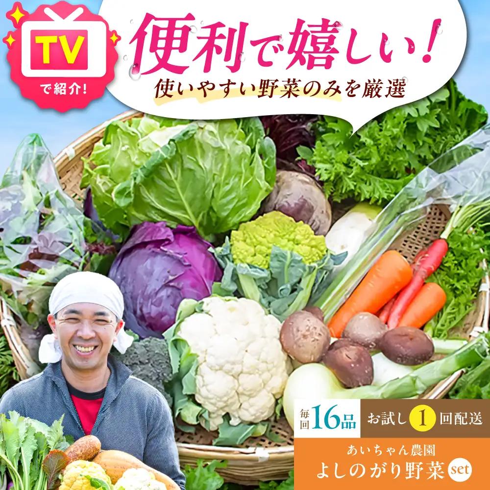 【16品】農薬に頼らない！カラダにやさしい「よしのがり野菜」セット（ラージ）吉野ヶ里あいちゃん農園 [FAA009]