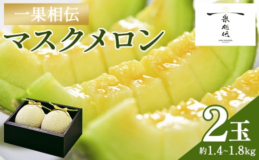 メロン 青肉 2個 【14日程度で発送】 2玉 贈答 ギフト 高知 一果相伝マスクメロン 青肉 先行予約 フルーツ メロン 果物 デザート tn-0012