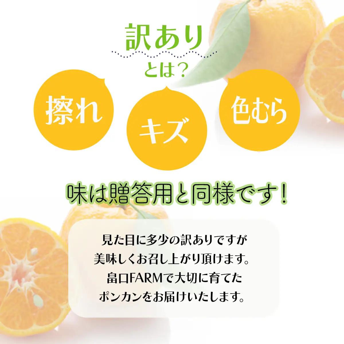 【先行予約】訳ありポンカン ＜5kg＞ Lサイズ
