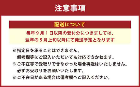 【先行予約】水なすの浅漬け 12個 +水ナスコンフィチュール （期間限定）【2026年5月上旬から9月上旬発送予定】｜浅漬け 漬物 つけもの 野菜 水なす 水ナス  水茄子 なす ナス 茄子 泉州水な