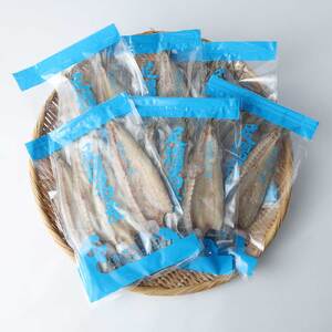 無添加 カマスの干物（６袋）計24枚～30枚入り 【R00329】