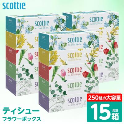 ふるさと納税 八代市 ティッシュ 250組 15箱 フラワーボックス  日用品 スコッティ_186-6425