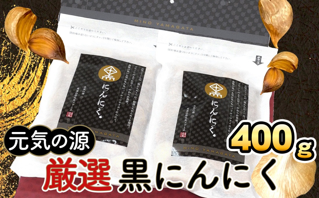 元気の源　厳選黒にんにく計400g  [No.047]