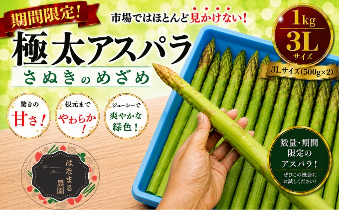 期間限定！極太アスパラ 【さぬきのめざめ1kg】  3Lサイズ 野菜セット 野菜 アスパラガス 